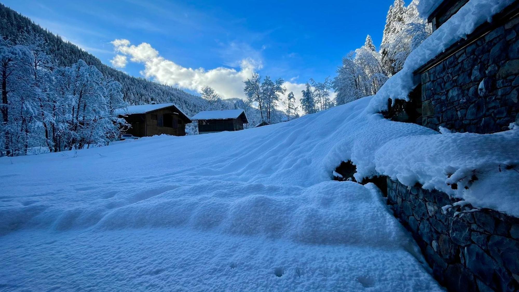 Chalet Birdie Le Grand-Bornand Exterior foto